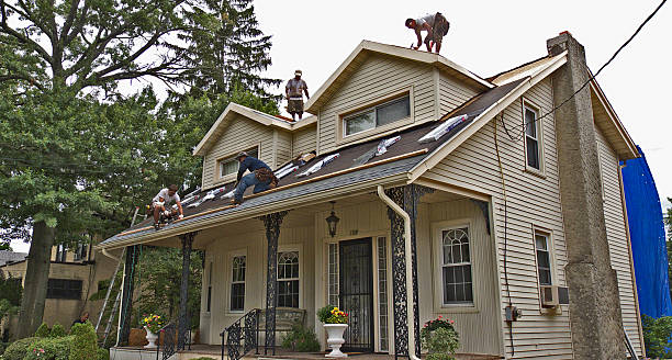 Best Flat Roof Repair Services  in Johnston, SC